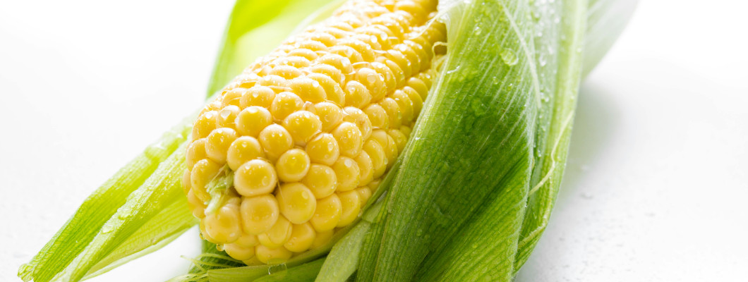 【知識專欄】早晨不再被「拋拋感」綁架：解密隱藏版代謝神隊友「玉米鬚萃取物」 🌽✨