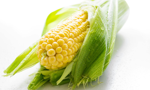 【知識專欄】早晨不再被「拋拋感」綁架：解密隱藏版代謝神隊友「玉米鬚萃取物」 🌽✨