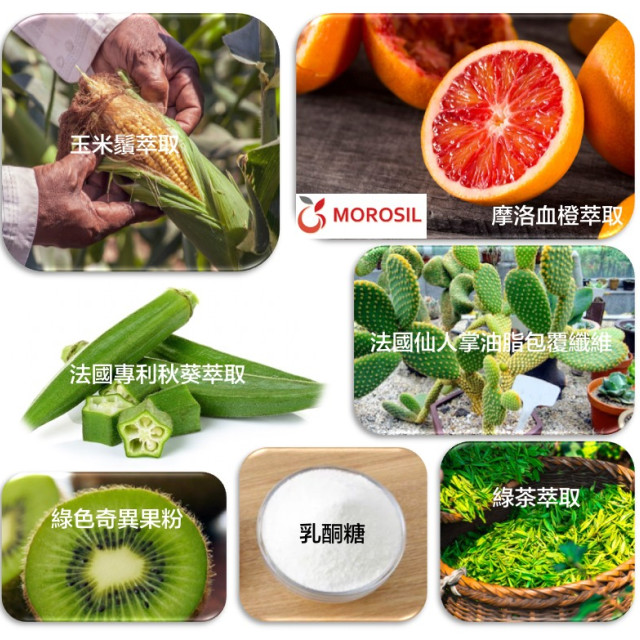 Kathy團購優惠方案傾心體驗組